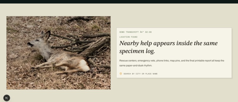 RescueNest – screenshot 9