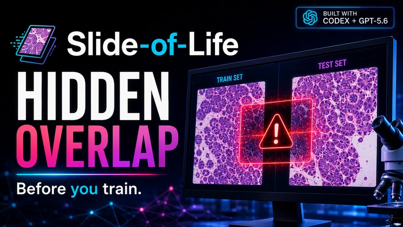 Slide-of-Life – screenshot 1