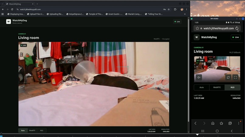 Watch My Dog – screenshot 1