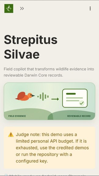 Strepitus Silvae – screenshot 1