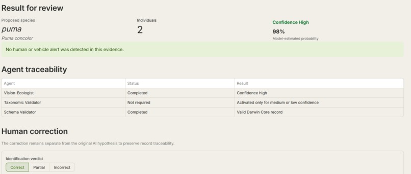 Strepitus Silvae – screenshot 3