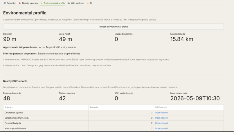 Strepitus Silvae – screenshot 5