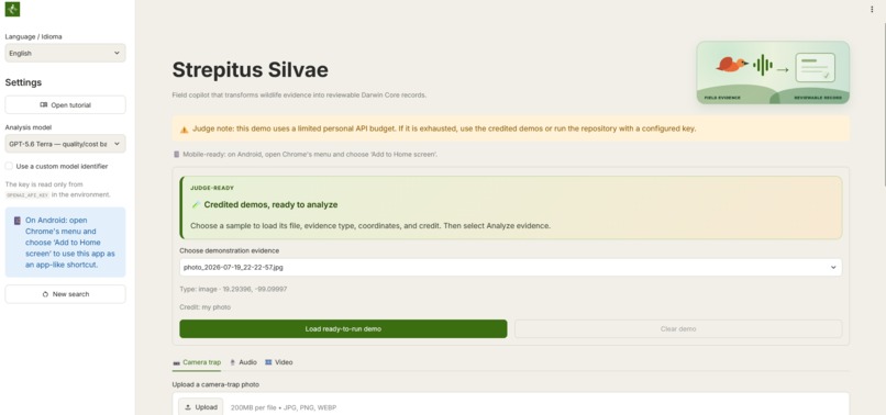 Strepitus Silvae – screenshot 6