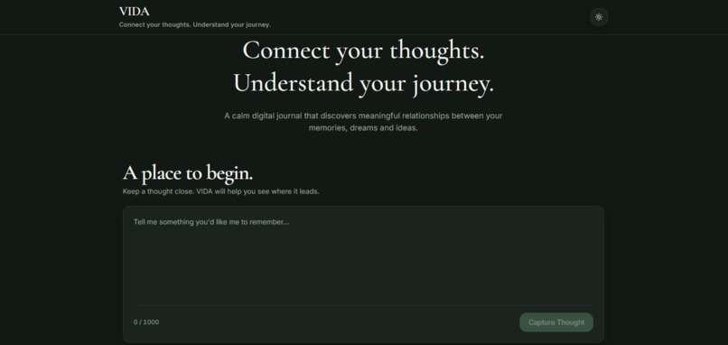 VIDA  – screenshot 1