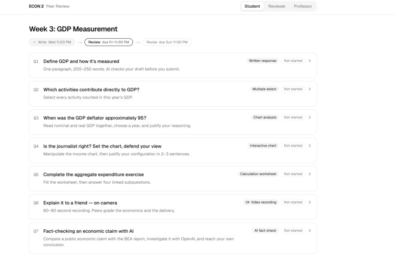 AI-native peer review for coursework in higher education – screenshot 3