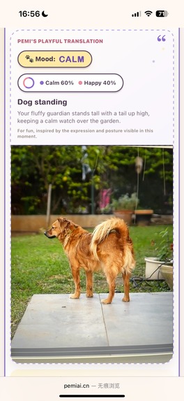 Pemi - AI Pet minder reader – screenshot 6