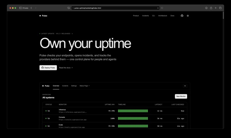 Pulse Uptime – screenshot 1