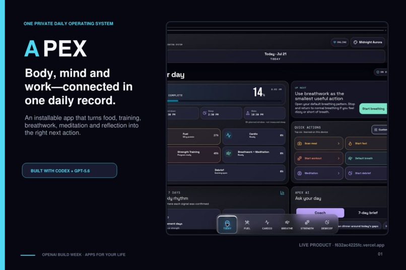 APEX – screenshot 3