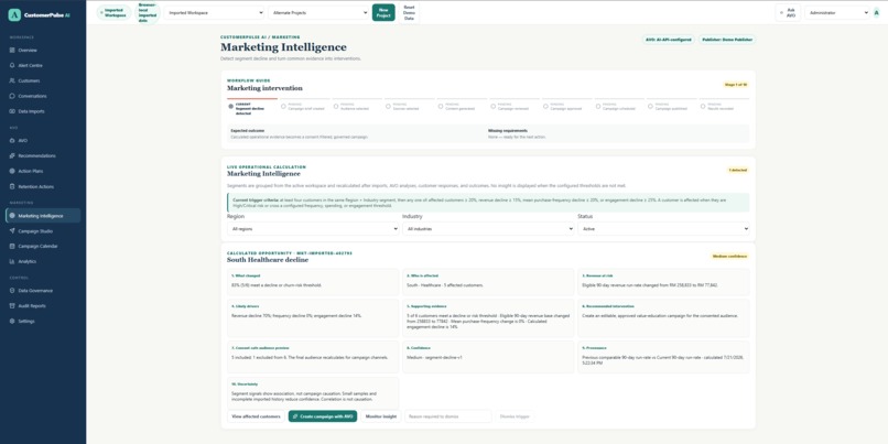 CustomerPulse AI – screenshot 14