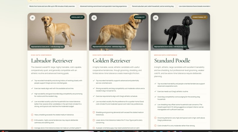 TailsPair – screenshot 5