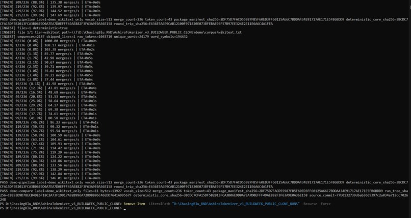 AshiraTokenizer v3 – screenshot 1