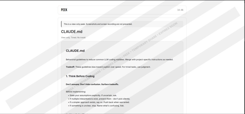 Peek – screenshot 9