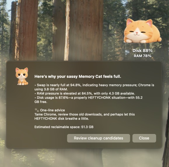 Chonky Cat (뚱냥이) – screenshot 3