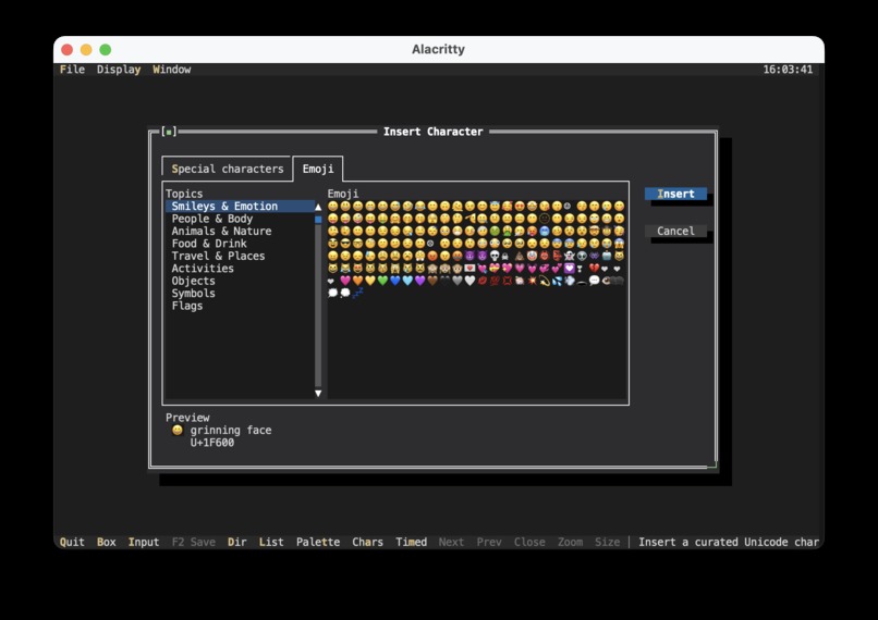 FVision – screenshot 1