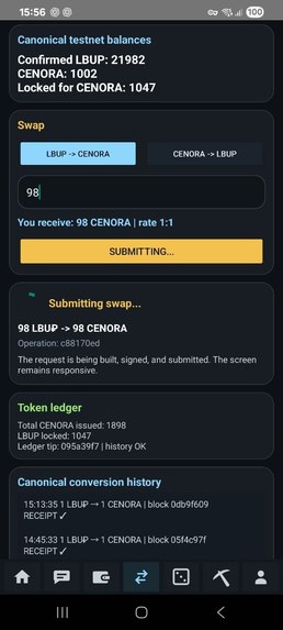 ColorChain — Verifiable Swap Receipts – screenshot 6