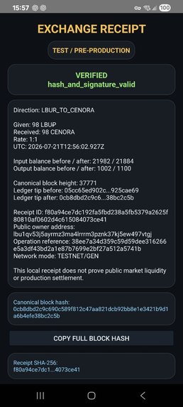 ColorChain — Verifiable Swap Receipts – screenshot 7