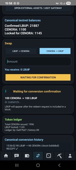 ColorChain — Verifiable Swap Receipts – screenshot 10