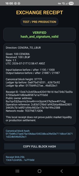 ColorChain — Verifiable Swap Receipts – screenshot 11