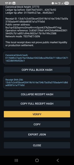 ColorChain — Verifiable Swap Receipts – screenshot 12