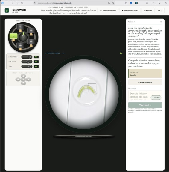 MicroWorld AI LAB – screenshot 5