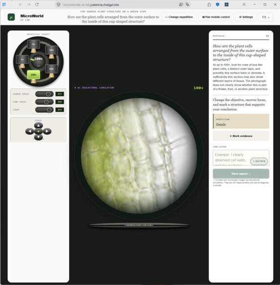 MicroWorld AI LAB – screenshot 7