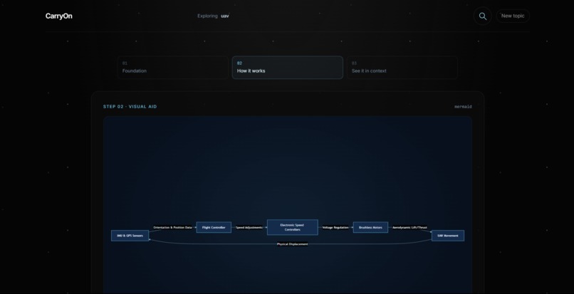 CarryOn – screenshot 6