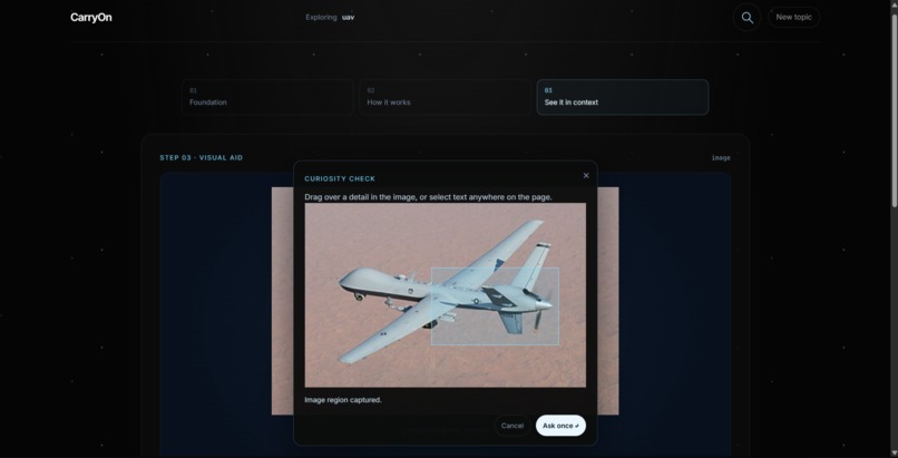 CarryOn – screenshot 10