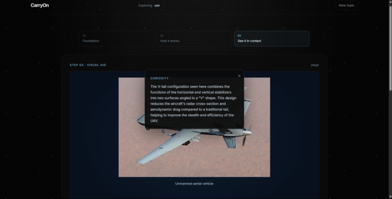 CarryOn – screenshot 11