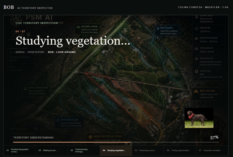 BOB – AI Territory Inspector – screenshot 3