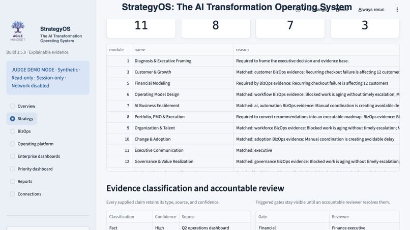 Strategy Transformation Operating System – screenshot 3