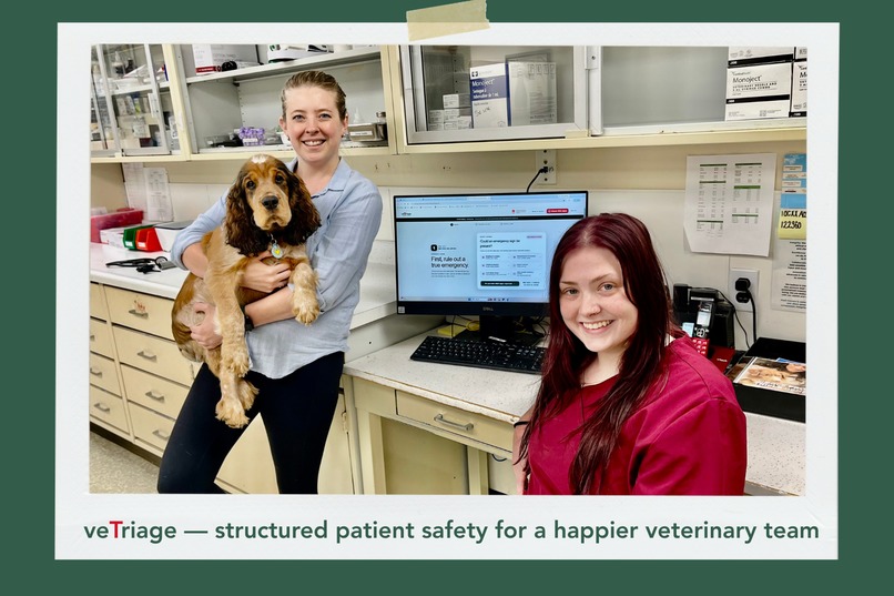 veTriage—Safety-First Vet Phone Triage PWA Built in a Week – screenshot 14