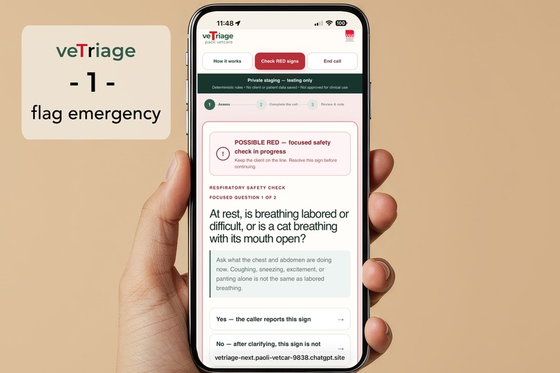 veTriage—Safety-First Vet Phone Triage PWA Built in a Week – screenshot 4
