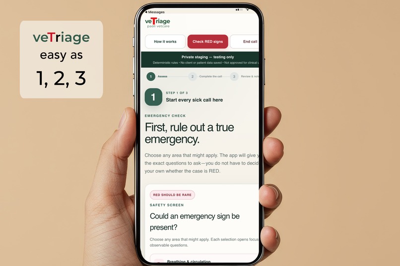 veTriage—Safety-First Vet Phone Triage PWA Built in a Week – screenshot 3