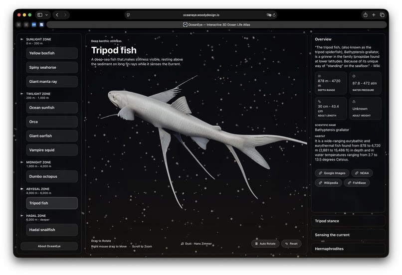 OceanEye - open-source interactive 3D atlas of ocean life – screenshot 6