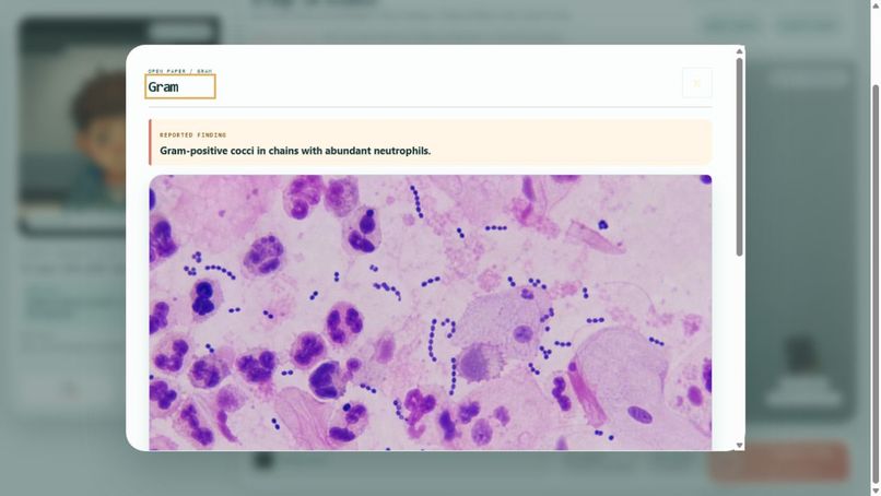 Microbe Desk – screenshot 3