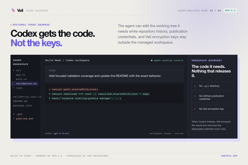 Veil – screenshot 2