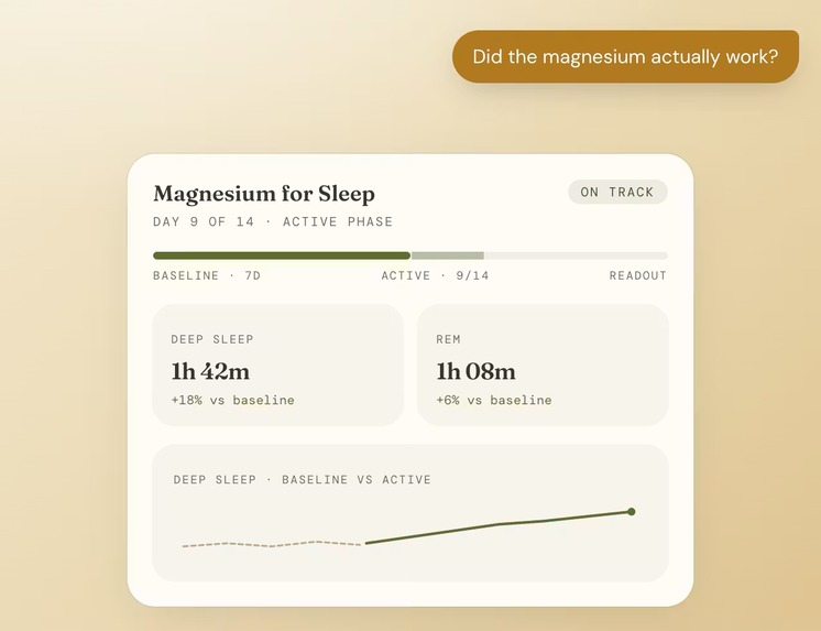 Murph – screenshot 7