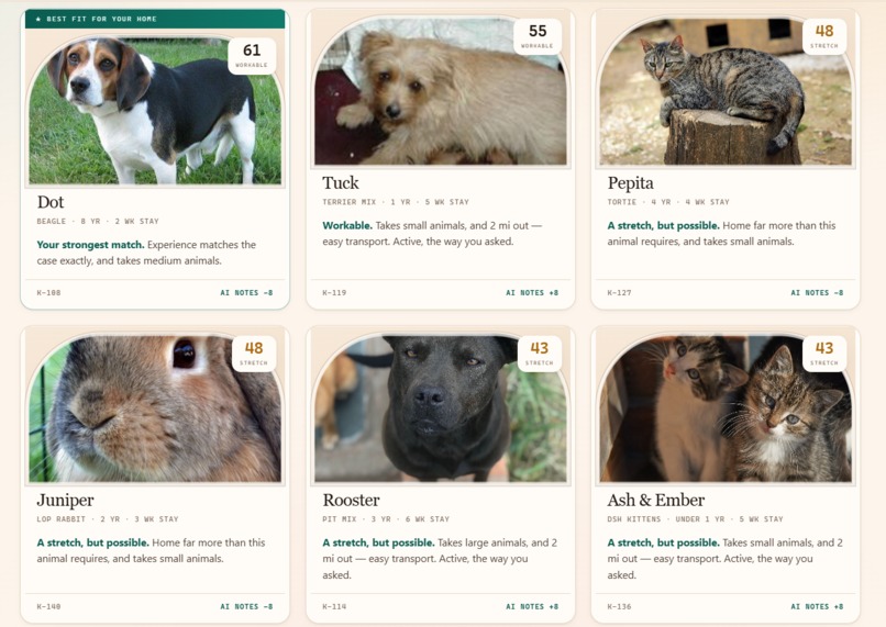 FosterMatch – screenshot 3
