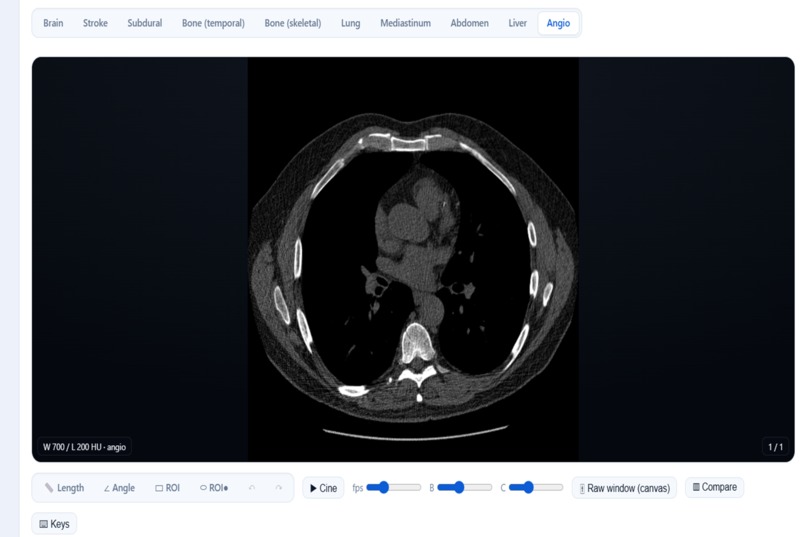 RadAssist – screenshot 6