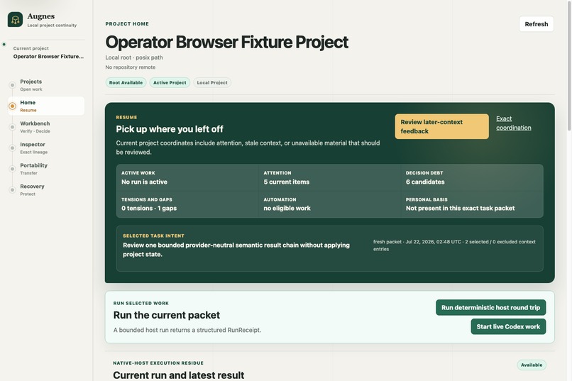 Augnes — Continuous Perspective for AI-Assisted Work – screenshot 1