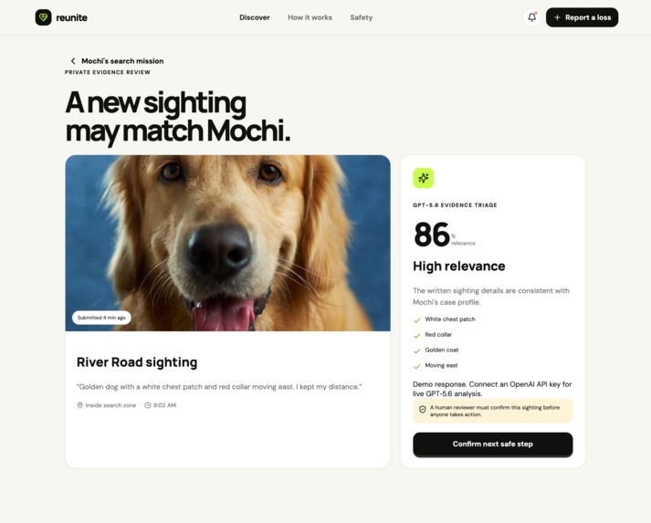 Reunite – screenshot 2