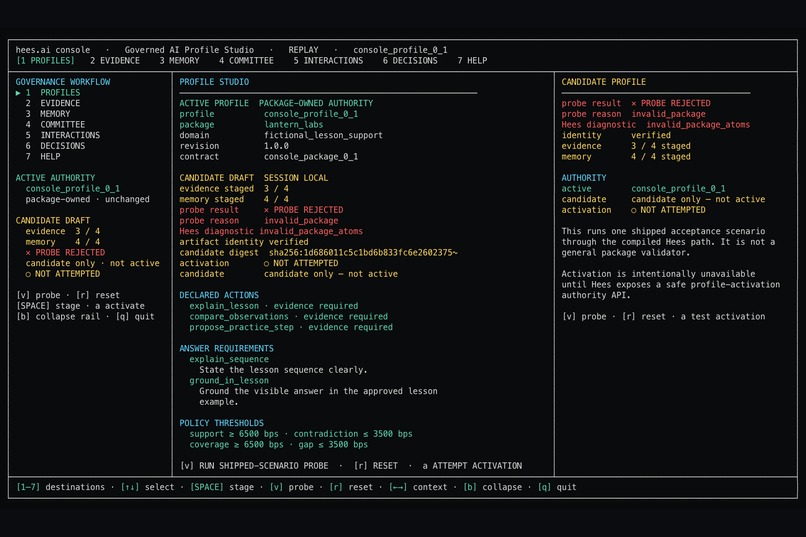 hees.ai console - Governed AI Profile Studio – screenshot 8