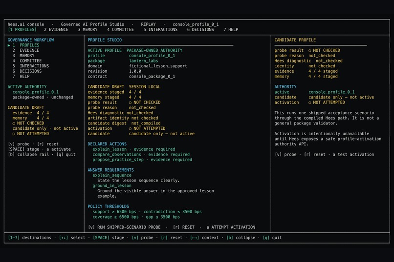 hees.ai console - Governed AI Profile Studio – screenshot 11
