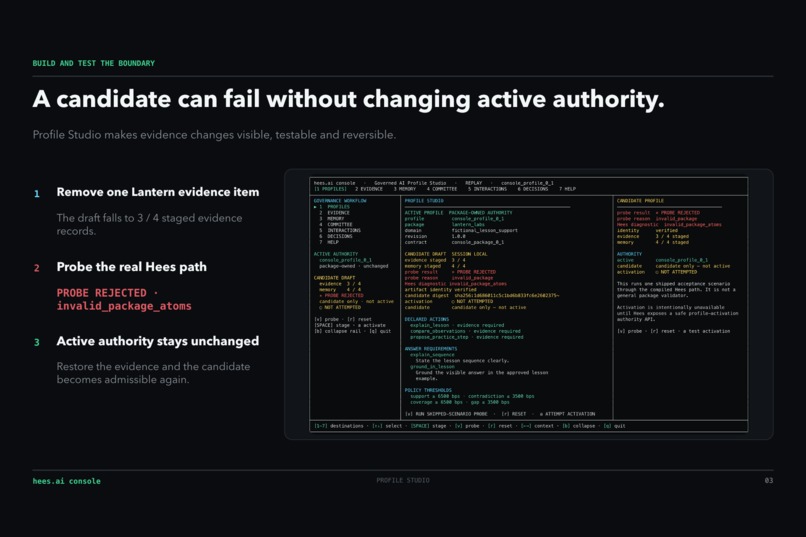 hees.ai console - Governed AI Profile Studio – screenshot 13