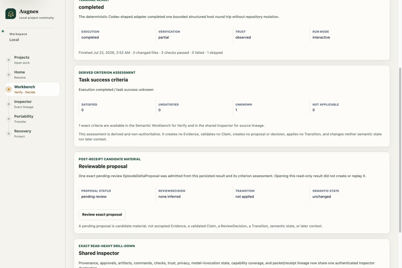 Augnes — Continuous Perspective for AI-Assisted Work – screenshot 5
