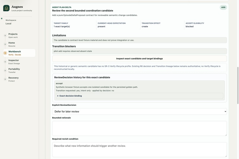 Augnes — Continuous Perspective for AI-Assisted Work – screenshot 7