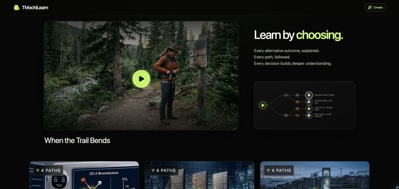 TMochiLearn – screenshot 2