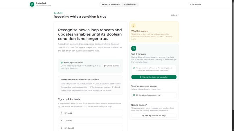 BridgeBack - Building a Better Way Back After Absence – screenshot 4