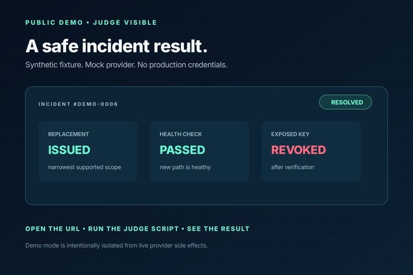 Secret Leak Remediator – screenshot 2