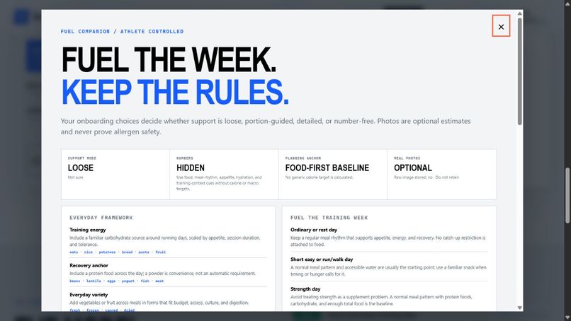 StrideOS – screenshot 2